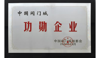 中國(guó)閥門城頒發(fā)榮譽(yù)